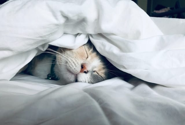 Sleep hygiene
